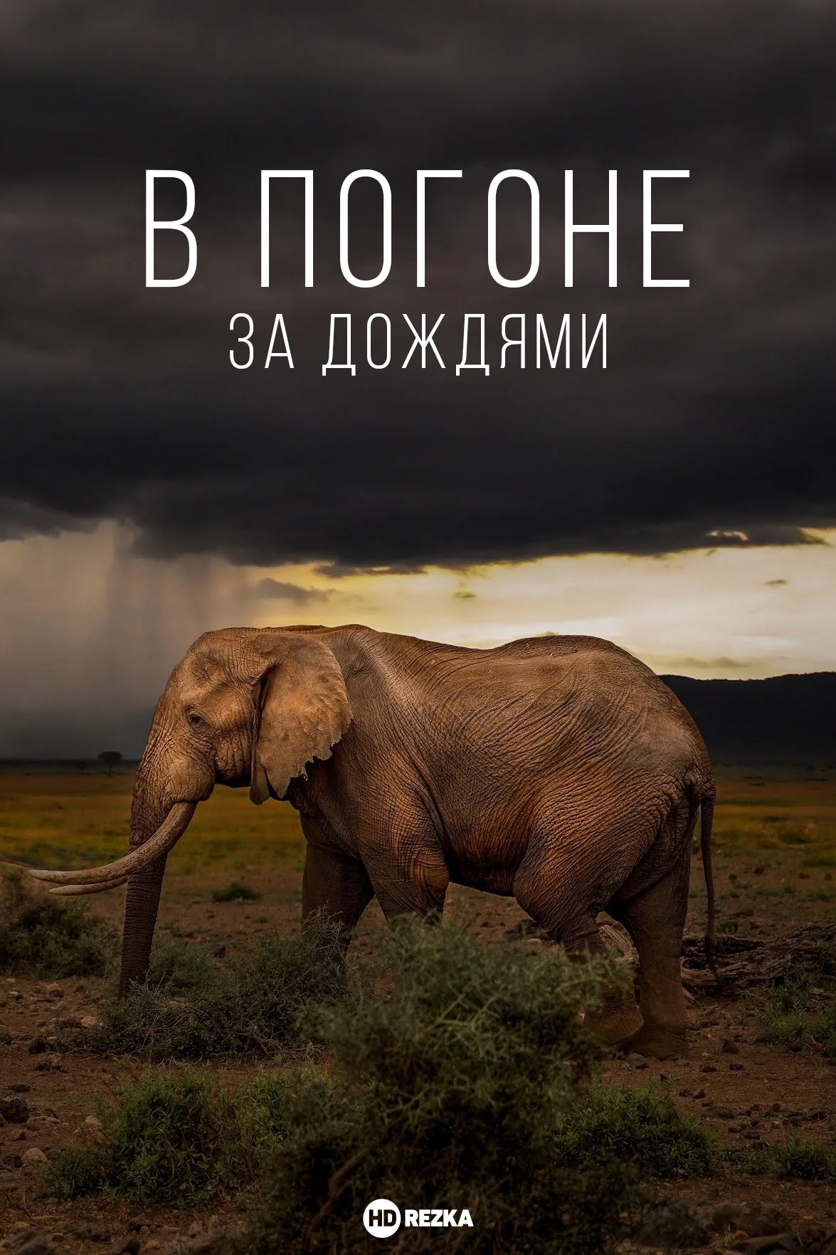 В погоне за дождями в hd качестве