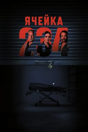 Ячейка 234 в hd качестве