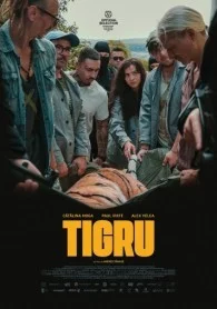 День тигра в hd качестве