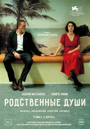 Родственные души в hd качестве