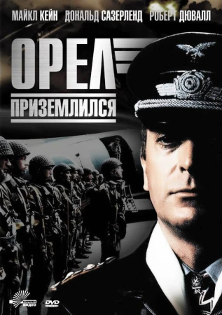 Орел приземлился в hd качестве