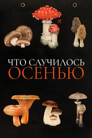 Что случилось осенью в hd качестве