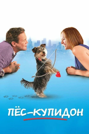 Пес-купидон в hd качестве