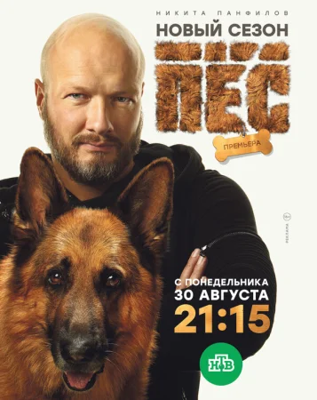 Пёс в hd качестве
