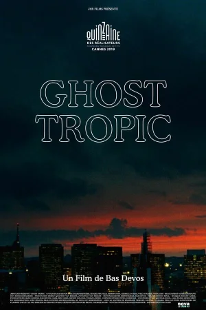Призрачные тропики в hd качестве