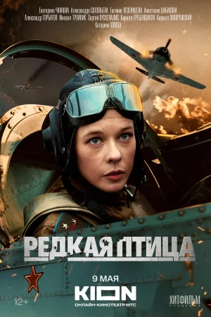 Редкая птица в hd качестве