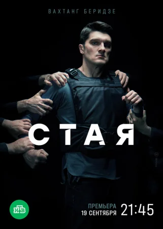 Стая в hd качестве