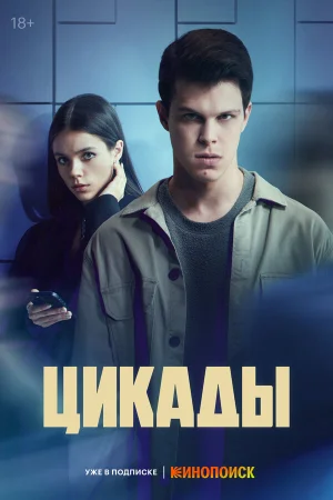 Цикады в hd качестве
