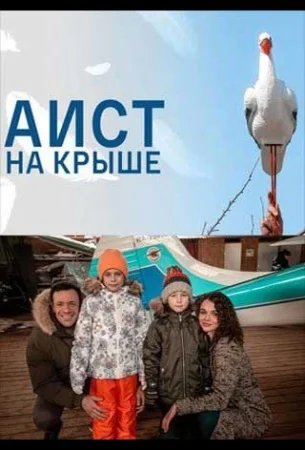 Аист на крыше в hd качестве